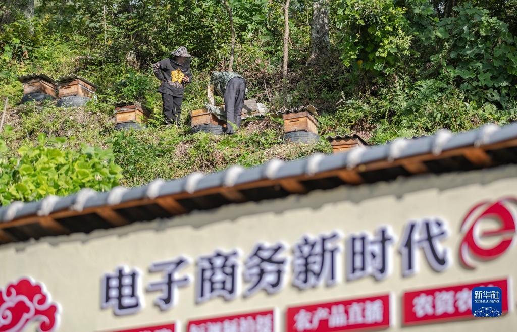 澳门新匍京怎么下载